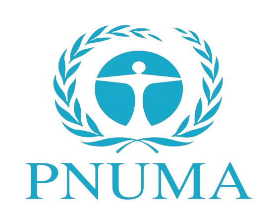 PNUMA / ONU